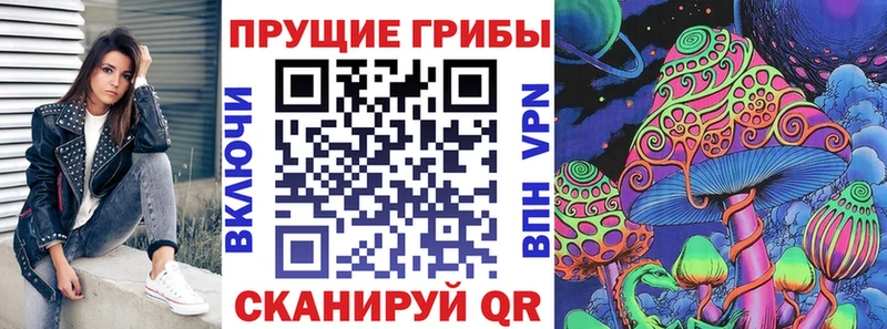 закладка  Архангельск  Галлюциногенные грибы Cubensis 